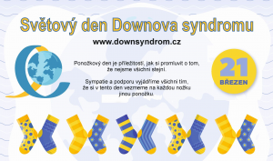 Ponožková výzva
