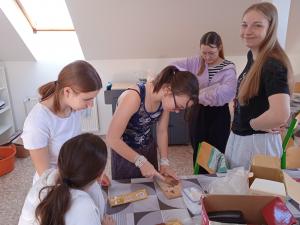 Pracovní činnosti 8. roč. 